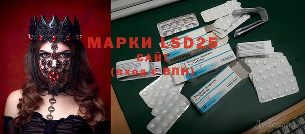 прущие крисы Абаза