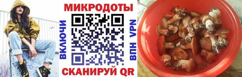 Псилоцибиновые грибы Psilocybe  mega tor  Касимов 